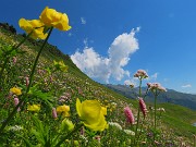 53 Bianche nubi meridiane in cielo